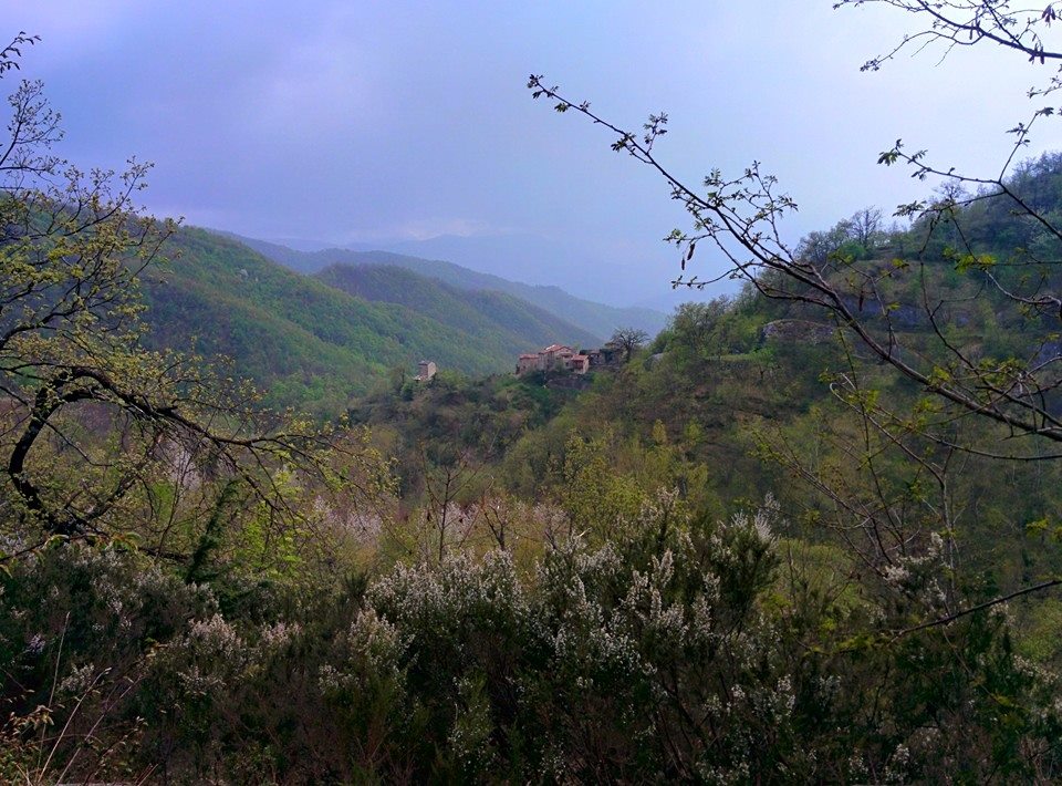 I boschi e la valle